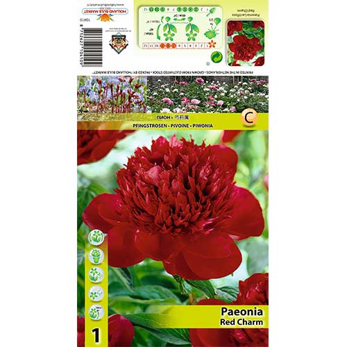 Potonika Red Charm slika 1 članek 70444