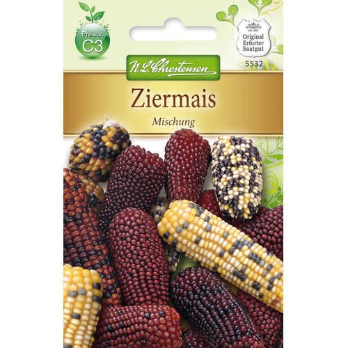 Okrasna koruza - mešanica, Chrestensen slika 1 članek 78981