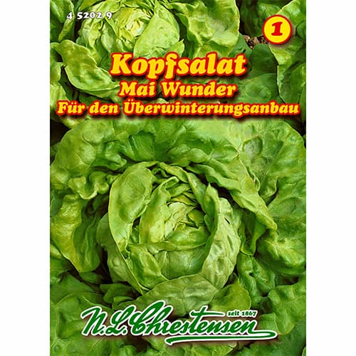 Solata Mai Wunder slika 1 članek 96479