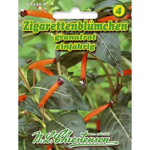 Kufeja ognjeno rdeča slika 1 članek 96412