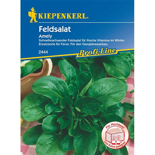 Motovilec Amely slika 1 članek 87276