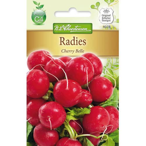 Redkvica Cherry Belle slika 1 članek 78738
