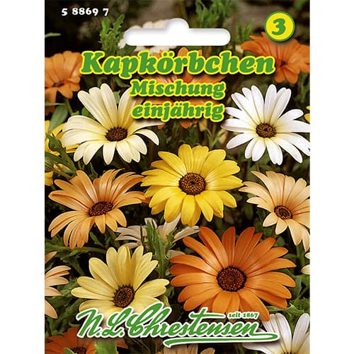 Afriška marjetica enoletnica - večbarvna mešanica slika 1 članek 86148