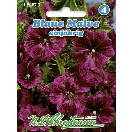 Alcea- enoletnica slika 1 članek 96403