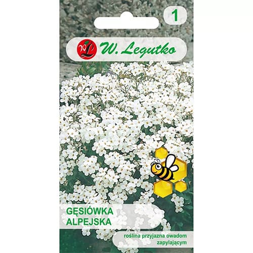 Alpski repnjak, večbarvna mešanica slika 1 članek 87861