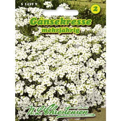 Alpski repnjak slika 1 članek 96402