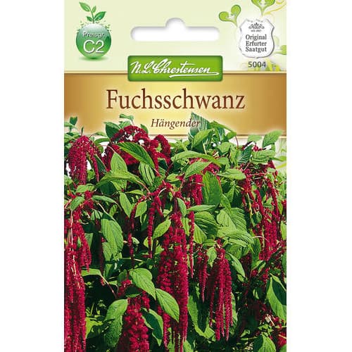 Amaranthus slika 1 članek 78887