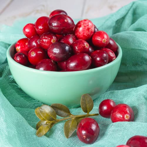 Ameriška brusnica Pilgrim, P9 slika 1 članek 9311