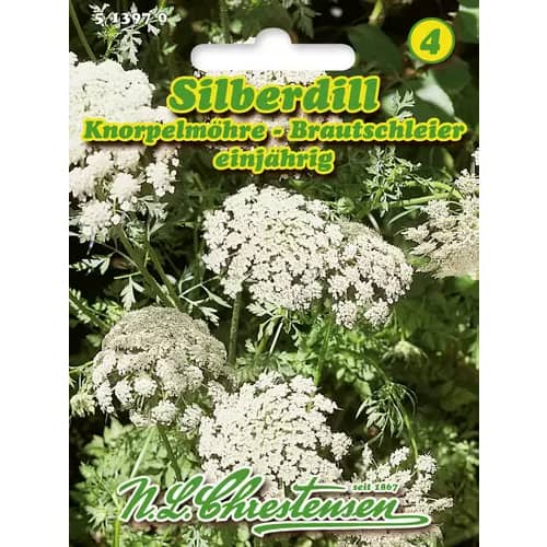 Ammi majus slika 1 članek 96400
