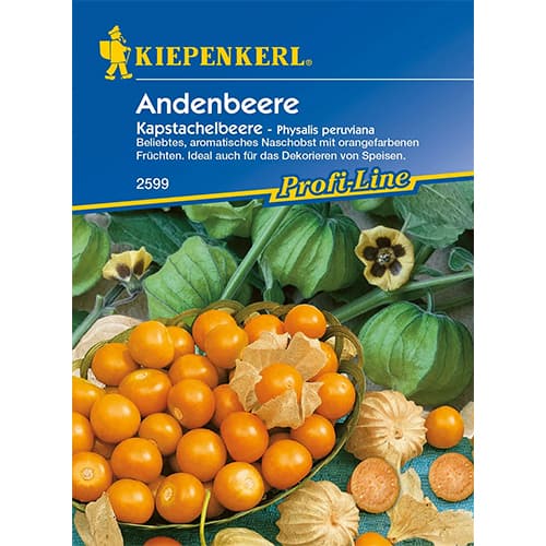 Andska jagoda Kiepenkerl slika 1 članek 86239