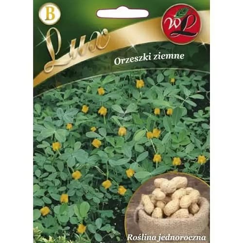 Arašidi Legutko slika 1 članek 78667