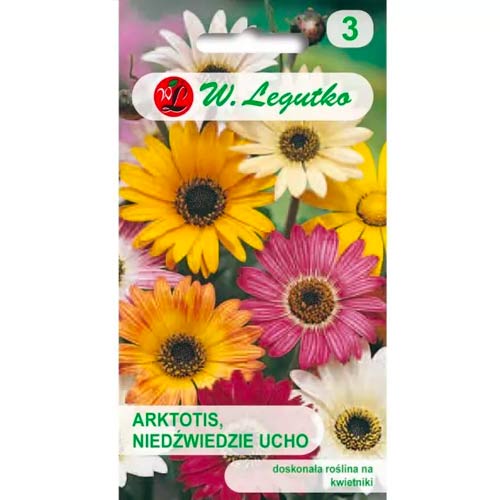 Arktotis (medvedje uho), mešanica slika 1 članek 69555