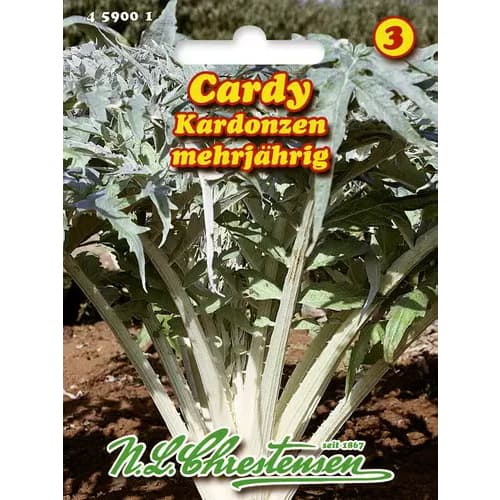 Artičoka Cardy slika 1 članek 96468