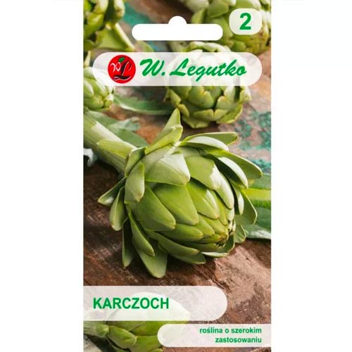 Artičoka Gros Vert de Laon slika 1 članek 50130