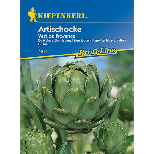 Artičoka Vert de Provence slika 1 članek 86374