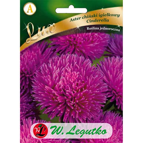 Astra Cinderella slika 1 članek 86742