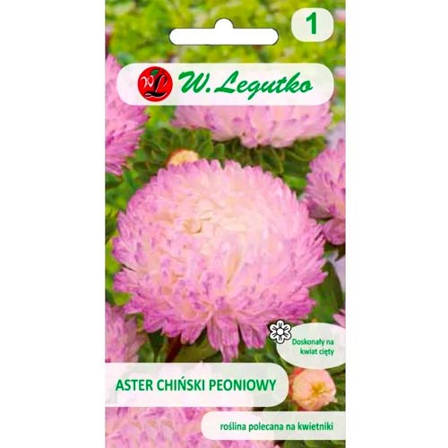 Astra kitajske potonike, bela in roza slika 1 članek 78523