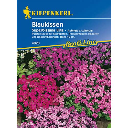 Avbrecija Superbissima Elite slika 1 članek 86256