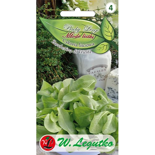 Baby Leaf - List cikorije Zuccherina di Trieste slika 1 članek 86705