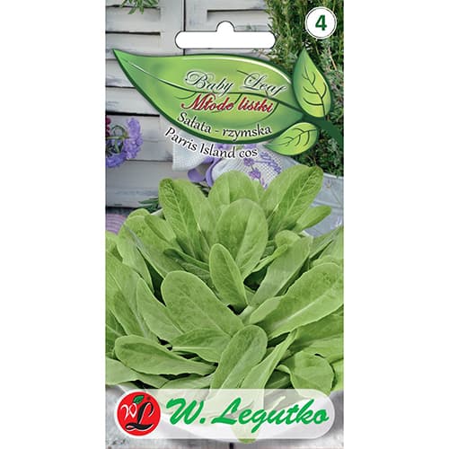Baby Leaf - Rimska solata Paris Island cos slika 1 članek 86714