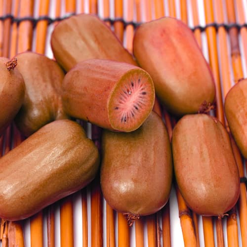 Bavarski kivi (Actinidia Arguta) Ken’s Red, P9 slika 1 članek 9240