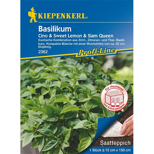 Bazilika Cino & Sweet Lemon & Siam Queen, semenski trak slika 1 članek 87766