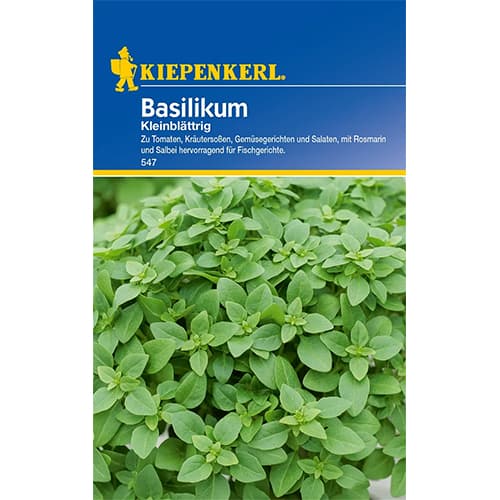 Bazilika enoletna slika 1 članek 77456