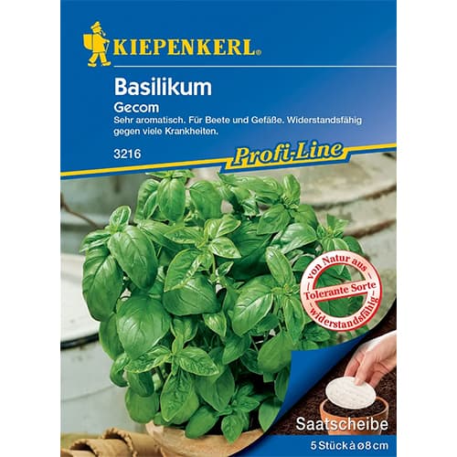 Bazilika Gecom slika 1 članek 86380