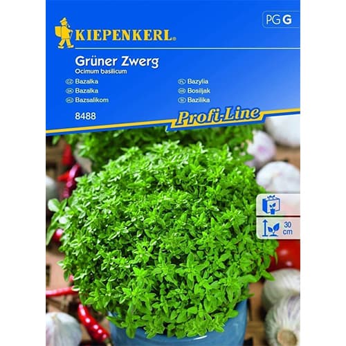 Bazilika Green Dwarf slika 1 članek 86379