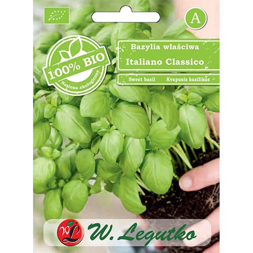 Bazilika Italiano Classico slika 1 članek 86722