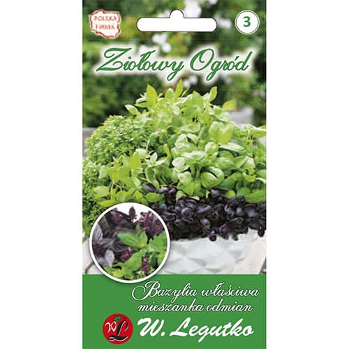 Bazilika Patio, mešanica sort slika 1 članek 69668