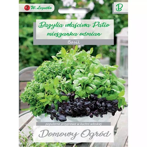 Bazilika Patio, mešanica slika 1 članek 69641