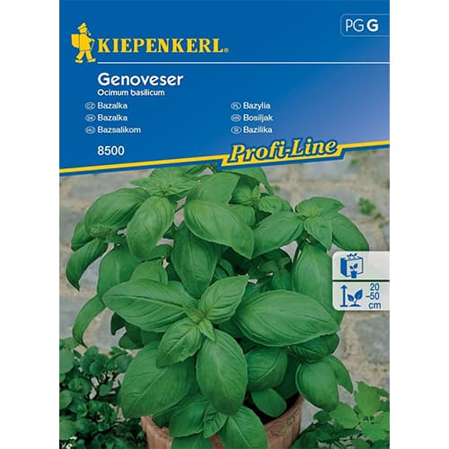 Bazilika širokolistna slika 1 članek 96592