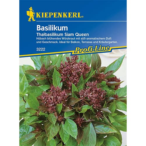 Bazilika Thai Siam Queen Kiepenkerl slika 1 članek 96682