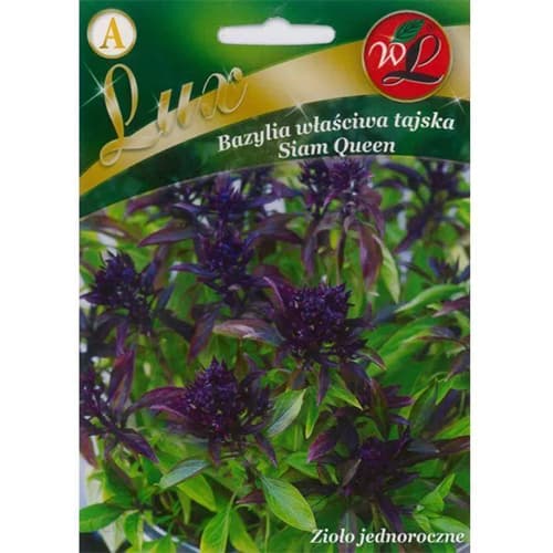 Bazilika Thai Siam Queen Legutko slika 1 članek 86840