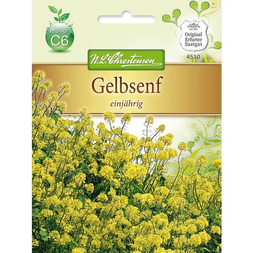 Bela gorčica slika 1 članek 78877