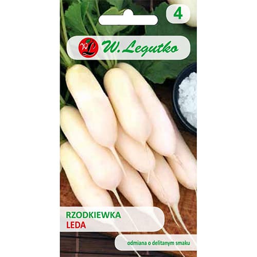 Bela redkev Leda slika 1 članek 96812