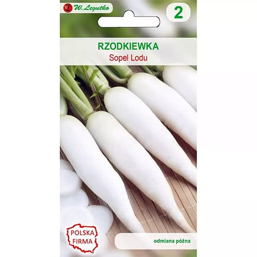 Bela redkev Sloji leda slika 1 članek 96806