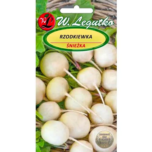 Bela snežno bela redkev slika 1 članek 50141