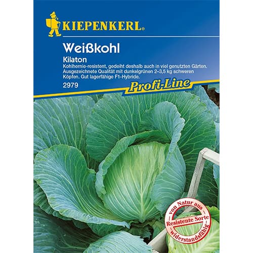 Belo zelje Kilaton F1 slika 1 članek 86555