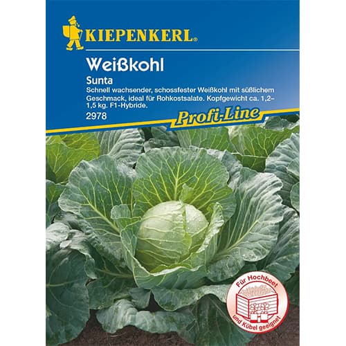 Belo zelje Sunta F1 slika 1 članek 87297