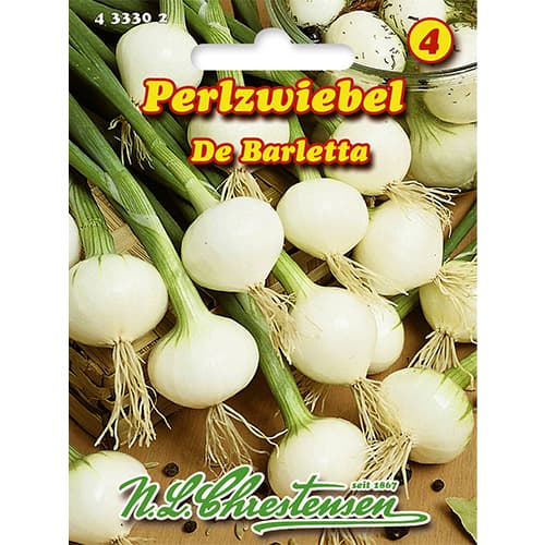 Biserna čebulica De Barletta slika 1 članek 86077