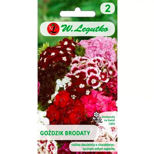 Bradati nageljni, mešanica slika 1 članek 78603