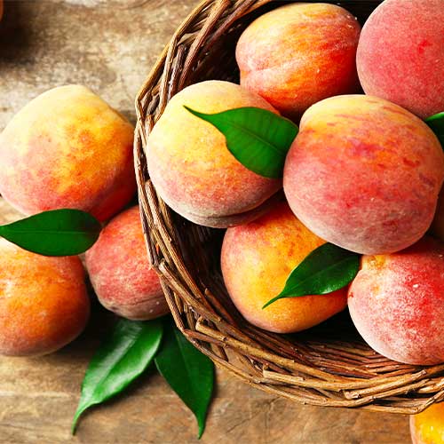 Breskev Drupi Qoll slika 1 članek 4292