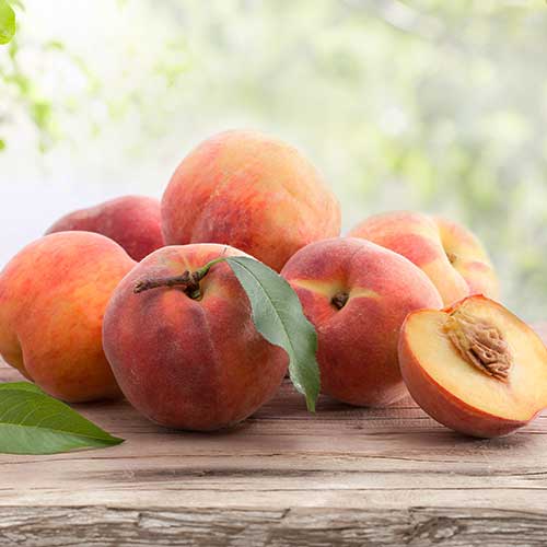 Breskev Fayette slika 1 članek 4293