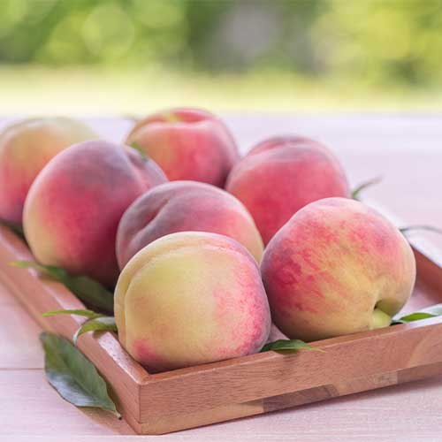 Breskev Haly Gali, С2 slika 1 članek 7992