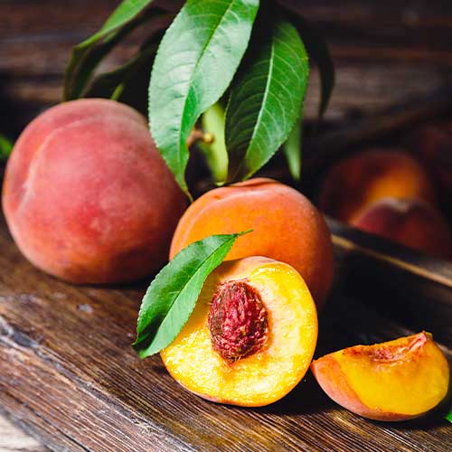 Breskev Luparpi slika 1 članek 4296