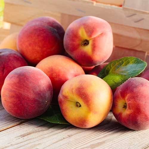 Breskev Romeo, C2 slika 1 članek 9678