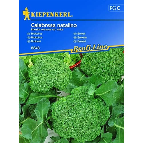Brokoli Calabrese natalino Kiepenkerl slika 1 članek 86396