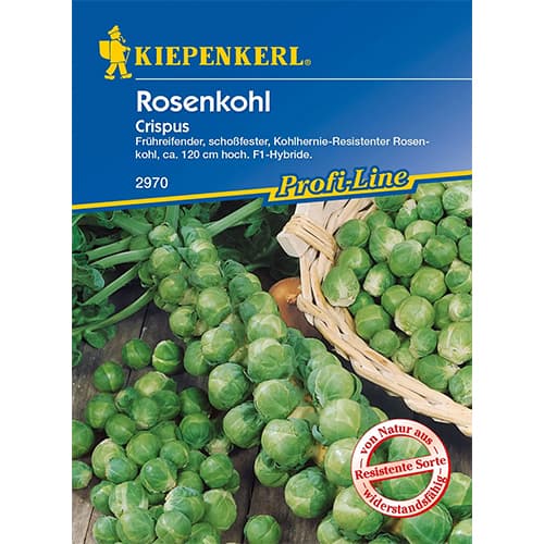 Brstični ohrovt Crispus slika 1 članek 96658